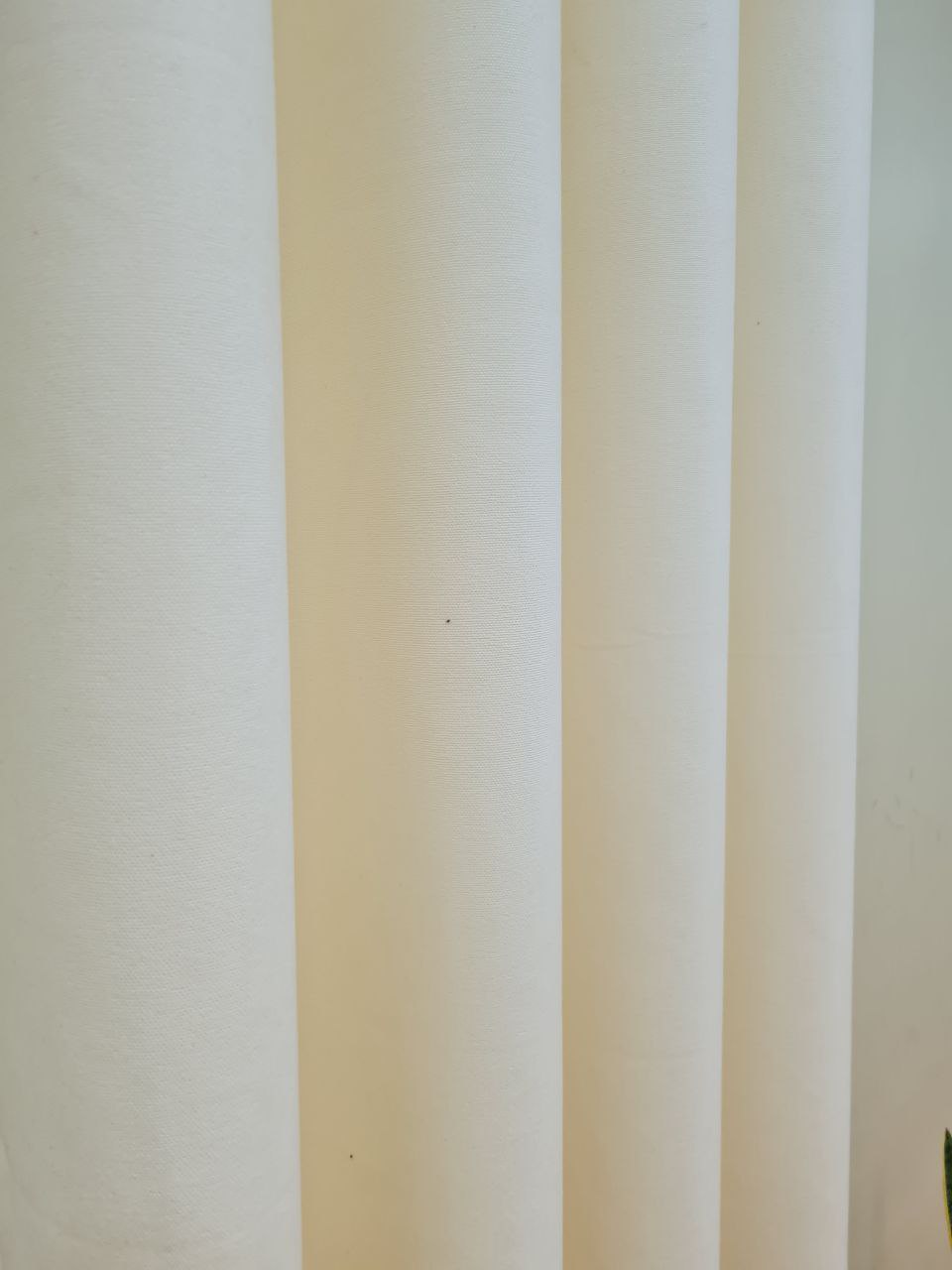 پرده کتان هازان شیری کدmd250 - Image 3