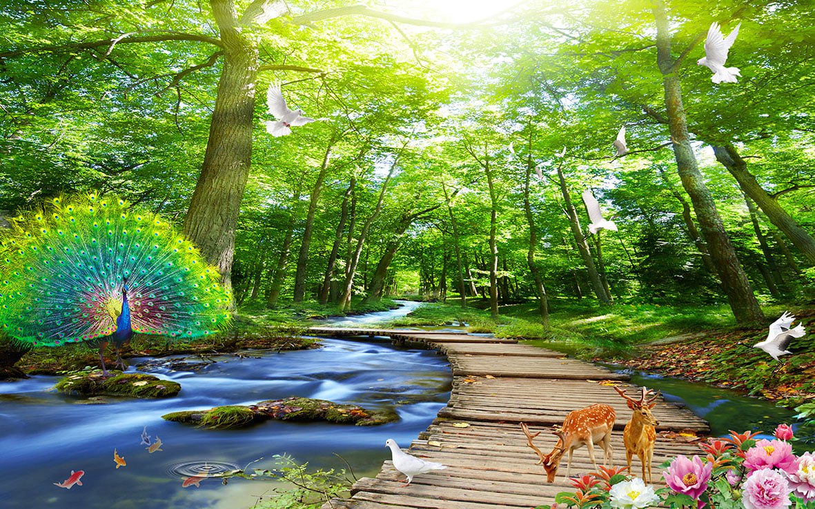 پوستر دیواری طبیعت جنگل NATURE-L696 - Image 4
