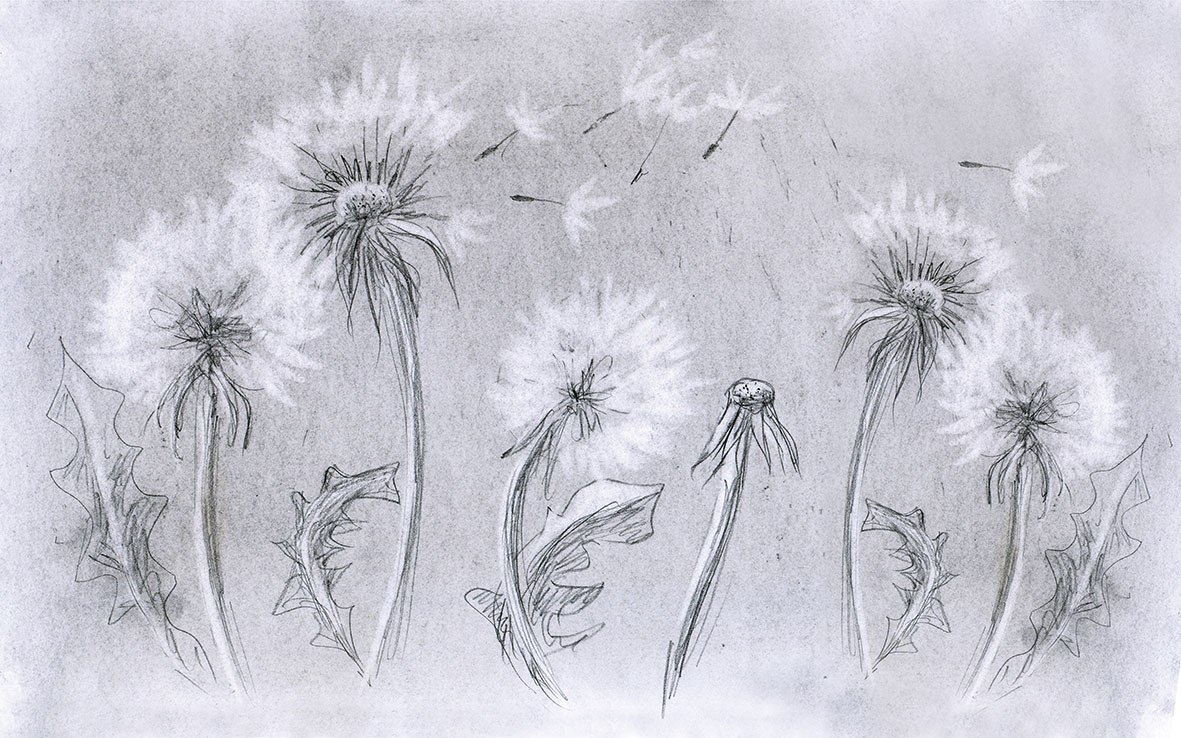 پوستر دیواری نقاشی - قاصدک Art-P283 - Image 4